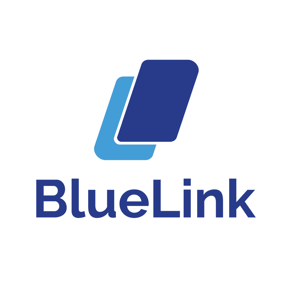 BlueLink Solutions
